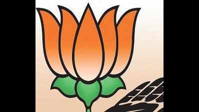 BJP sparkles in state municipal council polls
