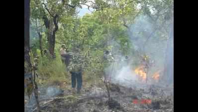 Rise in forest fires forces Maharashtra to draw Rs 30 crore plan