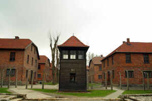 The Auschwitz &ndash; Birkenau Concentration Camps