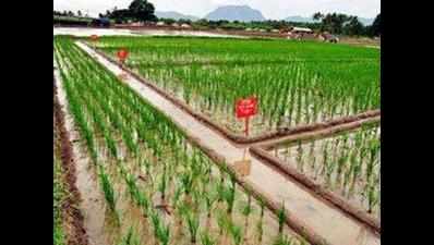 Be ready to grow climate smart crops: Swaminathan