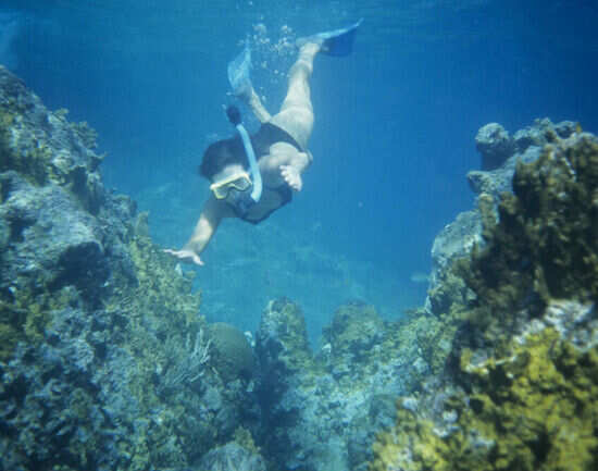 Snorkelling