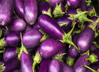 The Many Benefits Of Eggplant - Times Of India