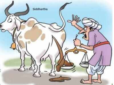 Image result for cow stories,narendra modi cartoon