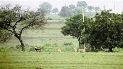 Nandhour Wildlife Sanctuary not opened for tourism after monsoon