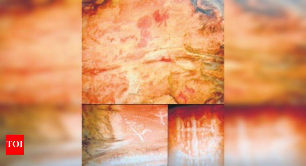 Mesolithic man lived near banks of Chambal in Rajasthan | Jaipur News ...