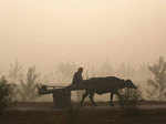 Fog paralyses North India