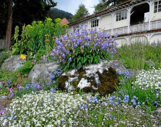 Schatzalp
