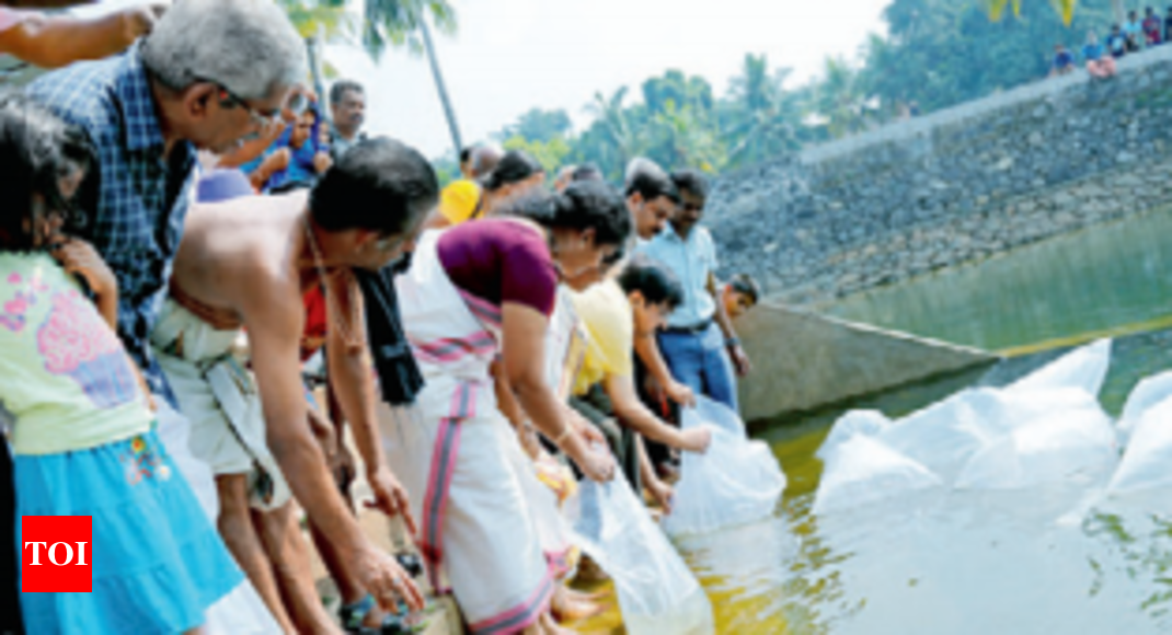 aquatic weeds: Grass carps to clear ponds choked by weeds | Kochi News ...