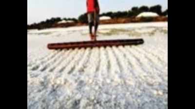 Only 25 acres of Mumbai’s salt pan land can be developed