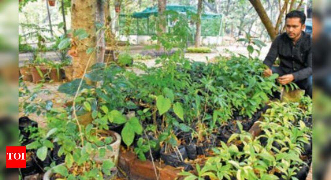 3 Gujarat plants on brink of extinction Vadodara News Times of India