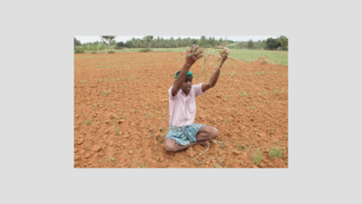Mounting debts, successive droughts push up number of farmer suicide cases