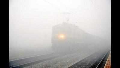 Dense fog in Delhi hits local travel schedule