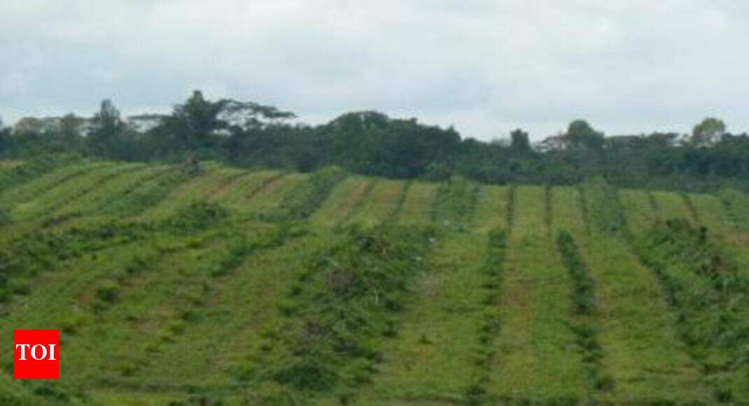 Land opposite Eldeco green fertile ground for miscreants Lucknow News