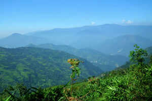 Kalimpong, a dreamy winter wonderland