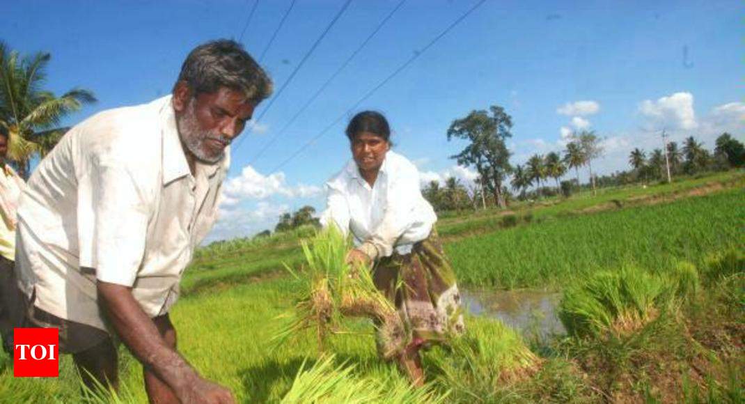 meghalaya: Meghalaya governor: Create agricultural-based ...