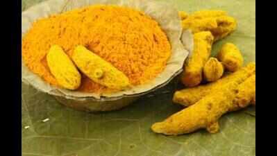 Cashless transactions push prices of turmeric to new heights | Erode ...