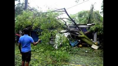 Uprooted trees on roads hold back 108 ambulances by 45 minutes