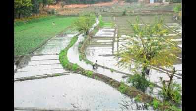 Water released from construction site lays waste to Taleigao fields