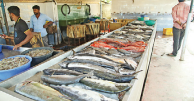 Fisheries sector in city hit by demonetisation