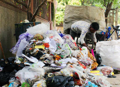 Pay Rs 10,000 fine for throwing waste in public place: NGT
