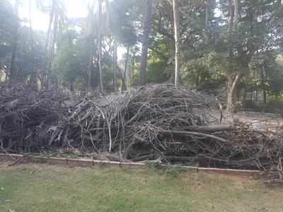 Kavadiguda: Indira Park neglected