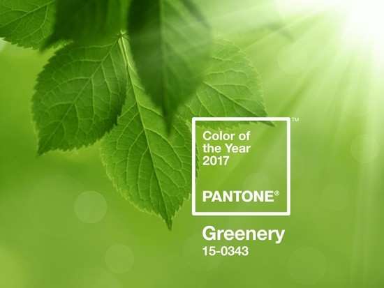 Pantone finally reveals the colour of 2017!