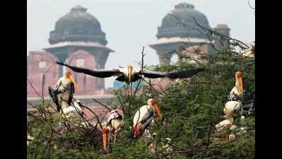 Probe questions more animal deaths at Delhi zoo