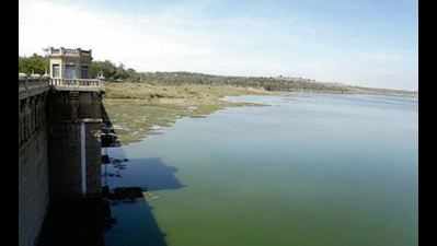 Polluted Thippagondanahalli Halli reservoir to be revived in two phases ...