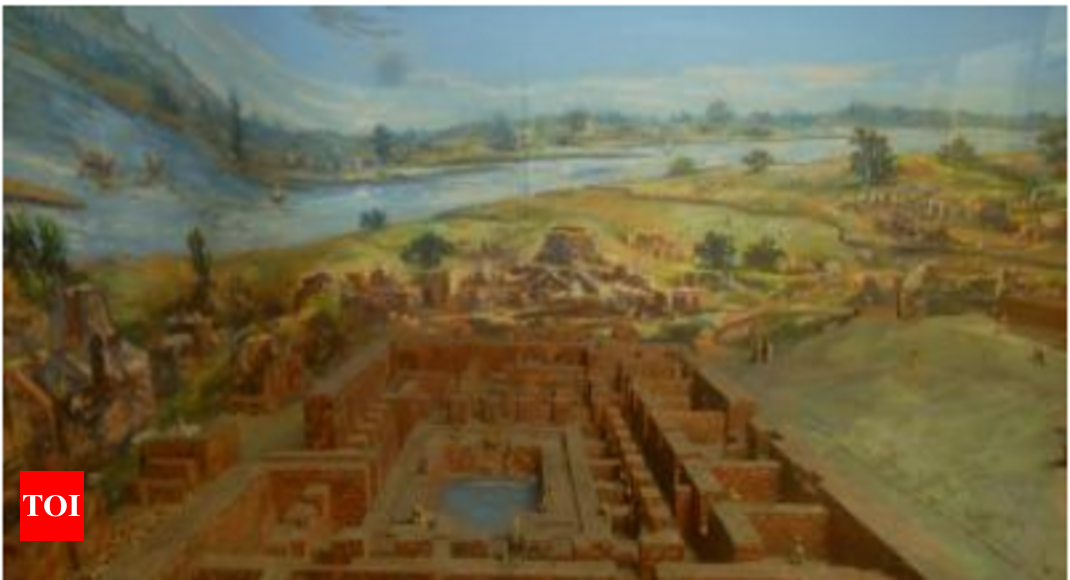 5,000 years ago, clay was 'plastic': Expert | Kolkata News - Times of India