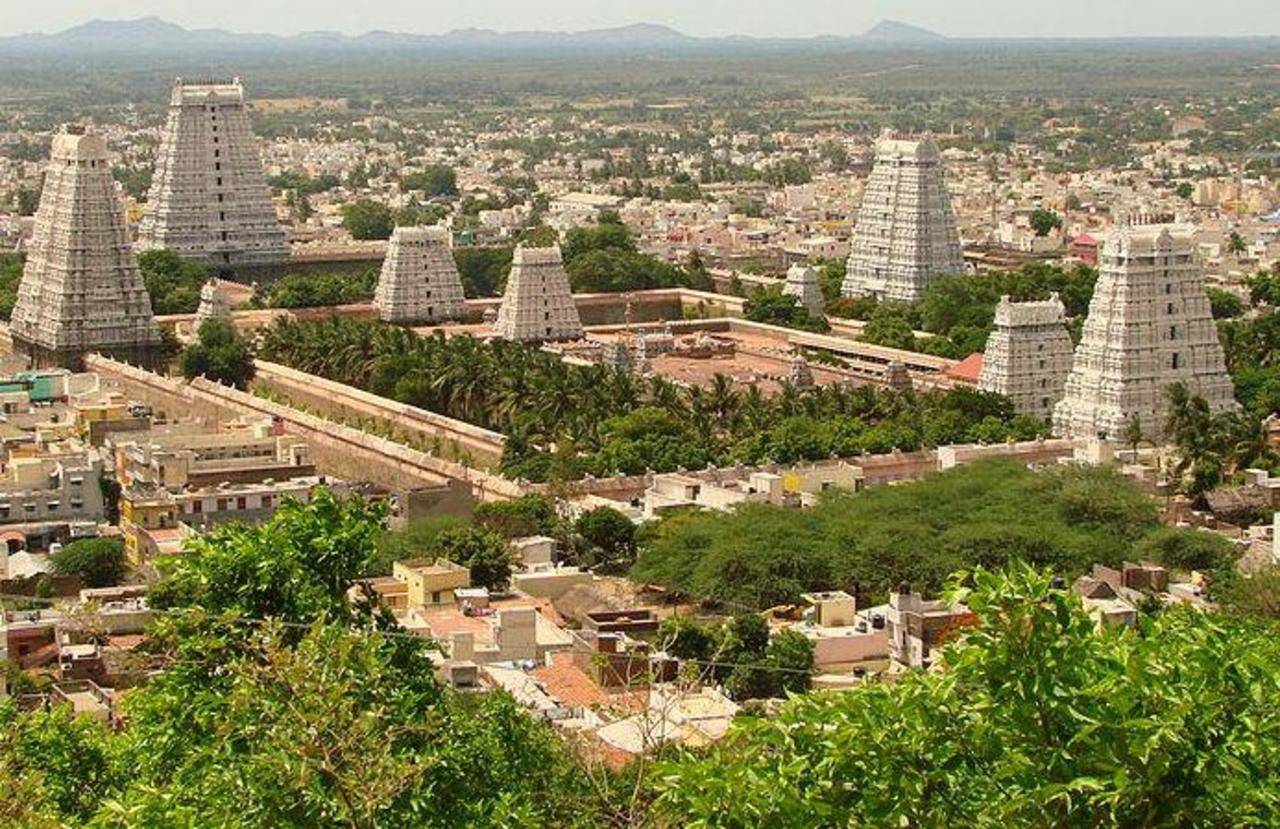 Tiruvannamalai temple records highest ever offering | Chennai News ...