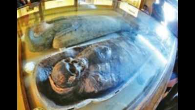 4000-year-old Kolkata mummy to get new lease of life