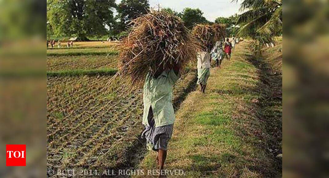 Raipur National awards to seven farmers for innovative agricultural