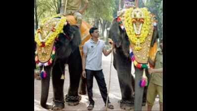 ‘Rowdy’ Ranga may be tamed, prepared for Dasara festivities | Bengaluru ...