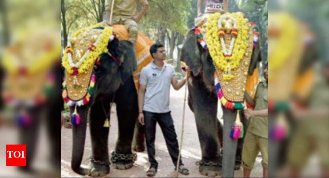 ‘Rowdy’ Ranga may be tamed, prepared for Dasara festivities | Bengaluru ...