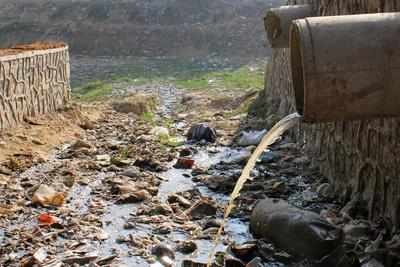 Delhi: Aya Nagar pond in dumps again