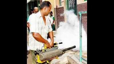 Association spends Rs 85,000 on mosquito menace