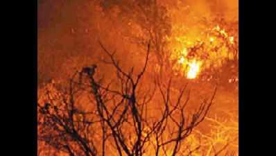 Chennai: Poor monsoon spikes risk of forest fires