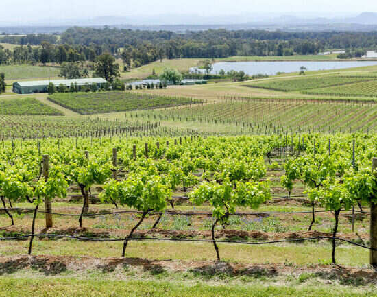 The Hunter Valley