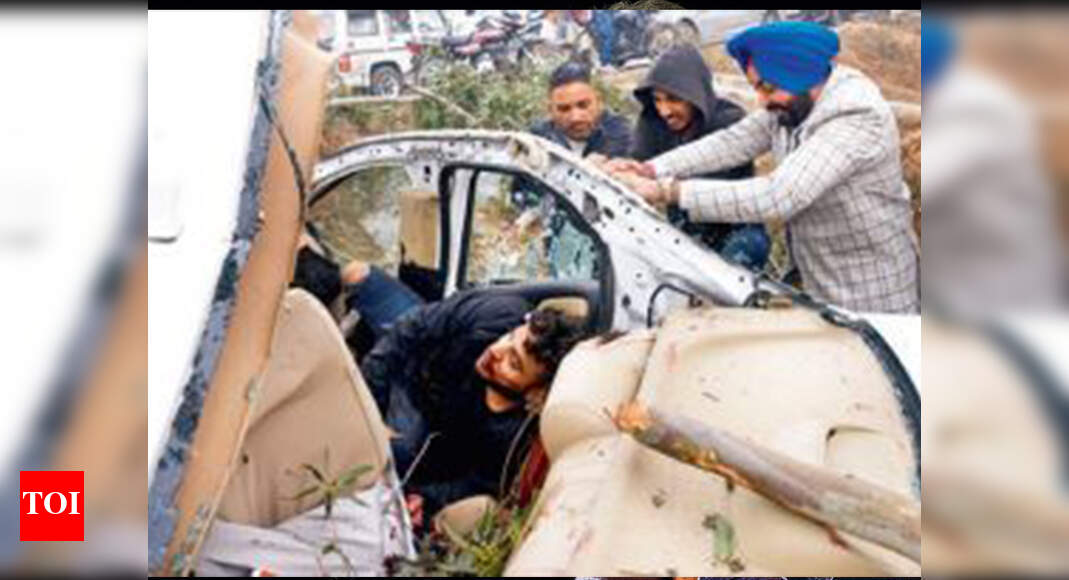 Speeding car hits tree, 4 killed | Ludhiana News - Times of India