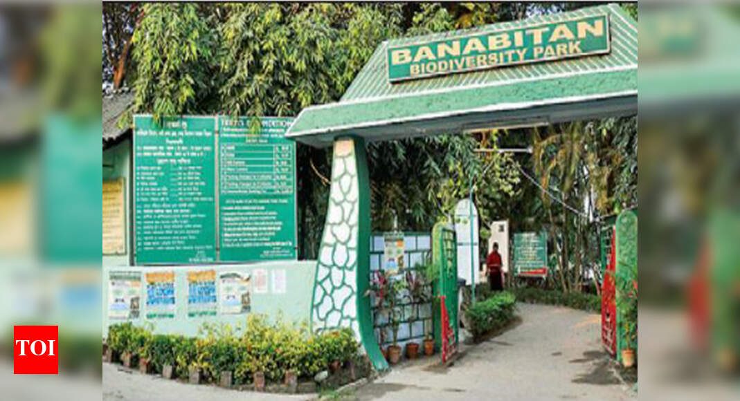 Salt Lake: Move to infuse fresh oxygen into Salt Lake lungs | Kolkata