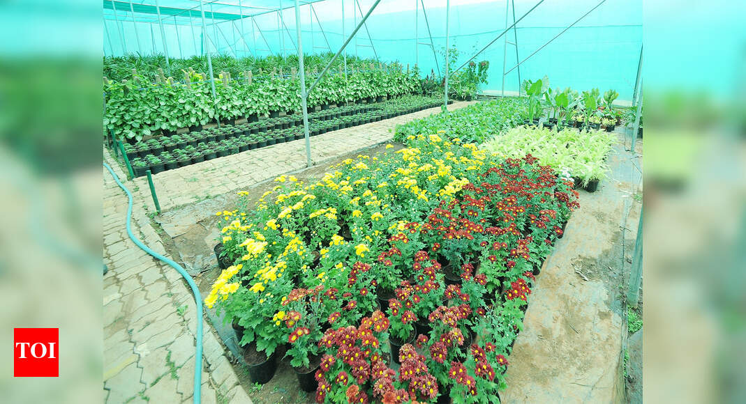 A Kit To Water Plants In Your Absence Kochi News Times Of India