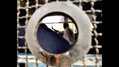 Youth gets 3-year rigorous imprisonment for harassing minor