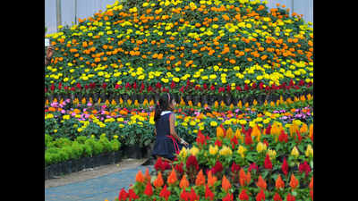 Curtain raiser for flower show competition