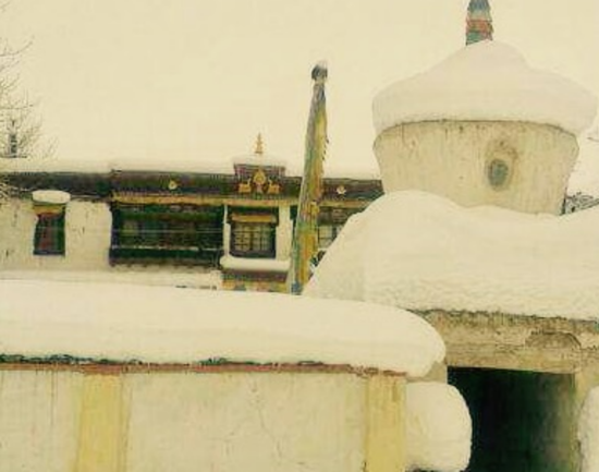 Sani In Kargil Times Of India Travel