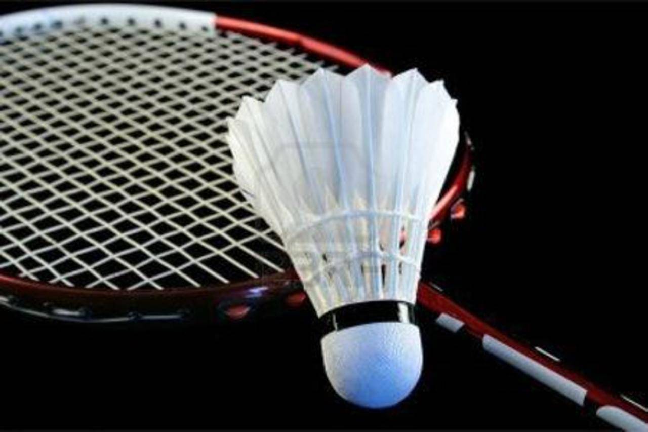 Global Badminton Racquet Market Size, Share, Trends