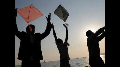 Expect fewer kites in city skies this year