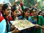 Lohri celebration