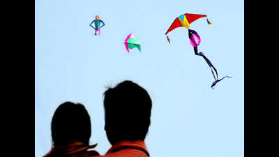 Wind will aid kite-fliers: Meteorological Department