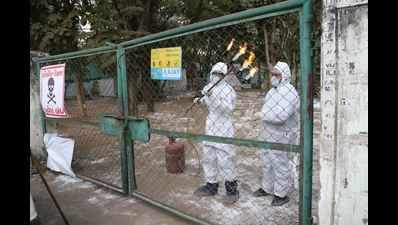 Did Gujarat hush up bird flu for Vibrant Gujarat Global Summit?