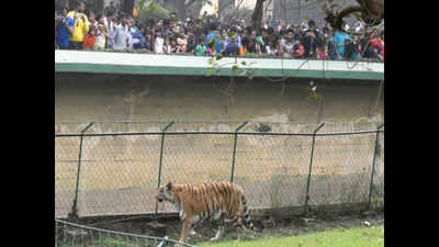 Zoo not telling its animal count, under Central Zoo Authority lens